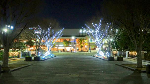 葛西臨海公園のイルミネーション・江戸川区 冬,イルミネーション,葛西臨海公園駅の写真素材