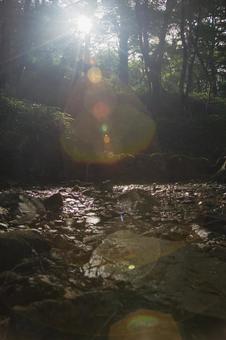 大台ヶ原の風景 大台ヶ原の風景の写真