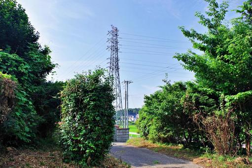 庭先から望む夏の田舎風景 庭先から望む夏の田舎風景の写真