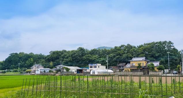 静岡県沼津市大平あたりの田園風景 静岡県沼津市大平あたりの田園風景 田園風景,農地,畑の写真素材