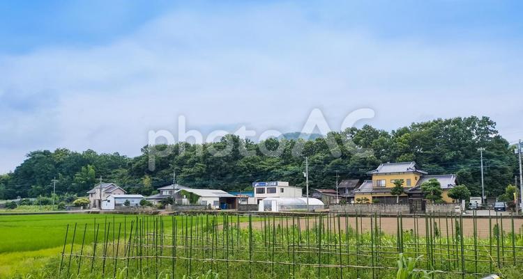 静岡県沼津市大平あたりの田園風景 田園風景,農地,畑の写真素材