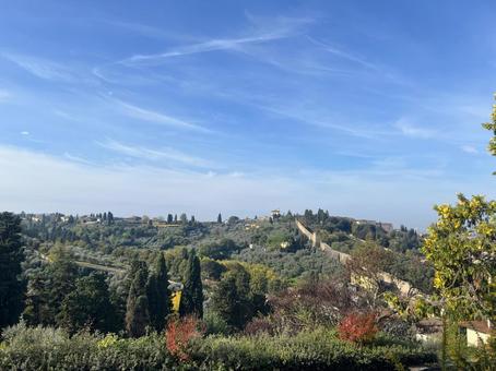 フィレンツェの丘(イタリア) フィレンツェの丘(イタリア) フィレンツェ,自然,塀の写真素材