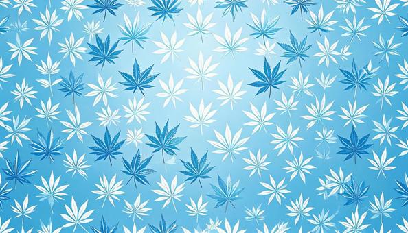 古典和柄 麻の葉 水色と白 古典和柄 麻の葉 水色と白の写真