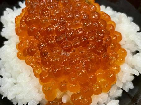 いくら丼 いくら丼 いくら丼,イクラ,魚卵の写真素材