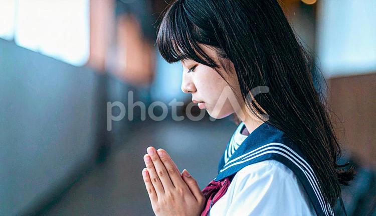 手を合わせて受験合格を祈る制服の女子高生 合格祈願,祈願,努力の写真素材