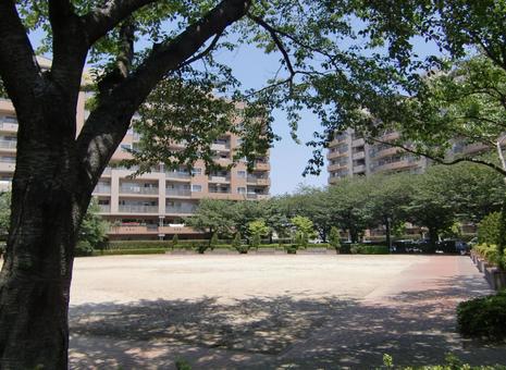 五月の緑風景-13 五月,緑,風景の写真素材