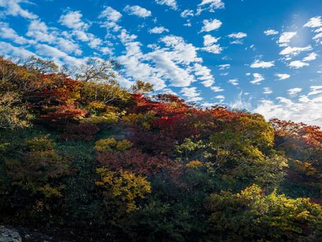 紅葉の栗駒山（須川岳）の写真