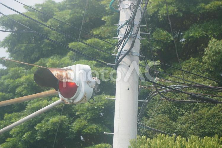 赤一灯式信号機 信号機,一灯式,止まれの写真素材