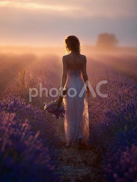 美しい夕日の中ドレスで花畑を散策する女性 女性,ラベンダー,花畑の写真素材