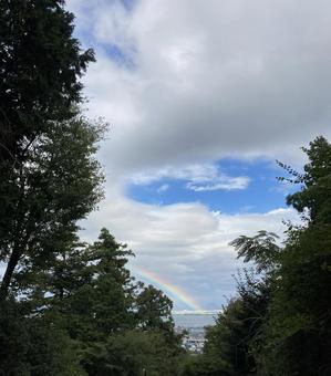 虹 虹 虹,空,木の写真素材