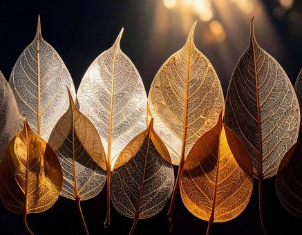 透明な葉脈が繊細に透ける秋の葉 透明な葉脈が繊細に透ける秋の葉の写真