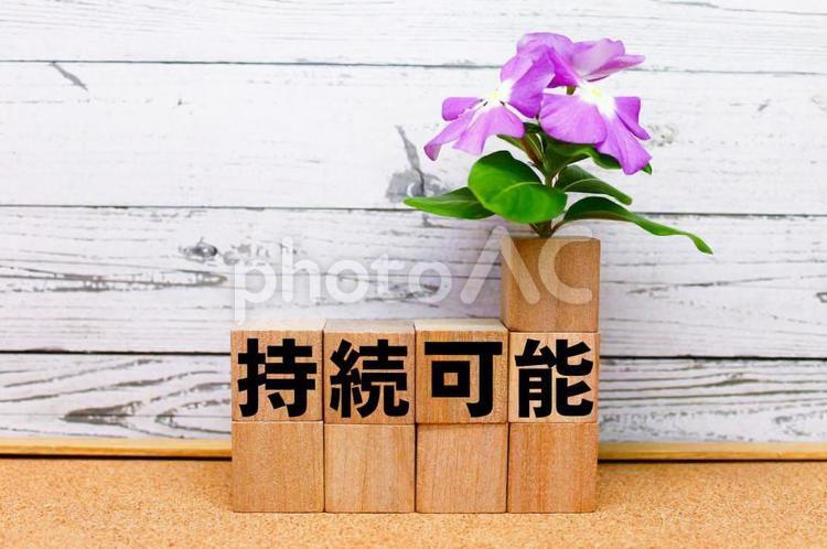 地球環境に優しい4文字の言葉【持続可能】 木目,木目調,木目素材の写真素材
