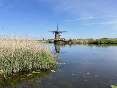 キンデルダイク＝エルスハウトの風車網 キンデルダイク,風車,オランダの写真素材