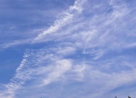 【風景写真】夏空 【風景写真】夏空の写真