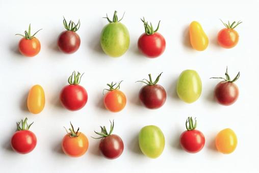 ミニトマト ミニトマト ミニトマト,トマト,食べ物の写真素材