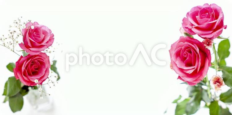 赤いばらほか花束イメージ素材 花,赤,バラの写真素材