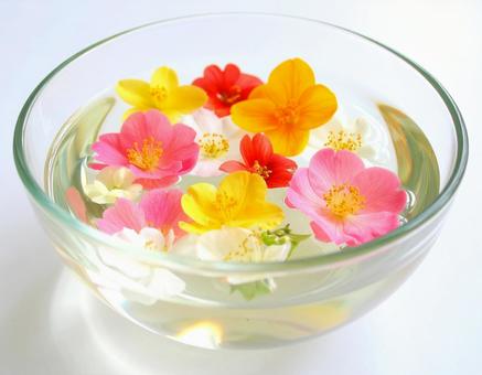水に浮かぶ花 水に浮かぶ花の写真