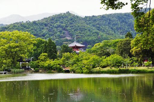 Around the Daimoji Sagano Tourism Osawa Pond Landscape, sagano, places of interest, romantic, JPG