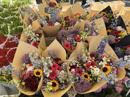 アントワープ アントワープ アントワープ,アントウェルペン,花束の写真素材