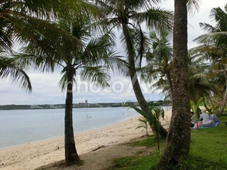 南国グアムの海と砂浜 海,砂浜,ヤシの写真素材