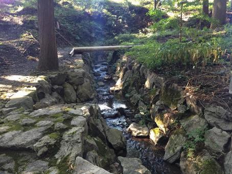 木漏れ日が差し込む小川 木漏れ日が差し込む小川 小川,川,渓流の写真素材