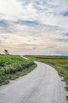 北海道 宗谷丘陵 白い道 北海道 宗谷丘陵 白い道 北海道,宗谷,宗谷丘陵の写真素材