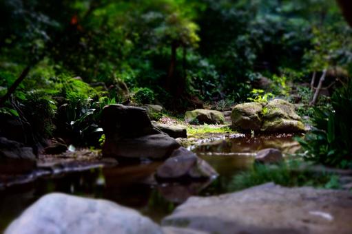 小川 小川の写真