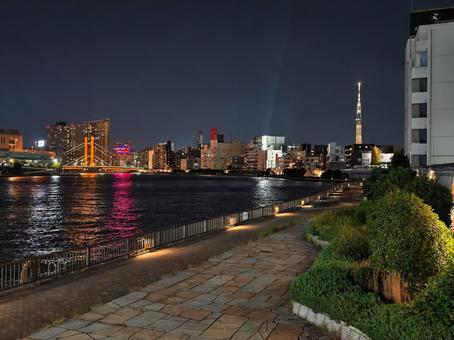 隅田川　夜景 隅田川,夜,夜景の写真素材