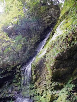 琵琶の滝 琵琶の滝 滝,琵琶の滝,祖谷の写真素材