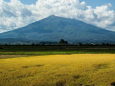 岩木山と秋の稲穂 岩木山と秋の稲穂の写真