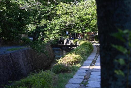 昔からある路 昔からある路の写真
