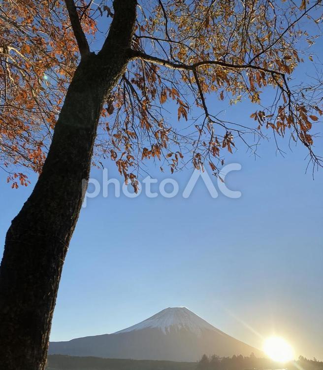 富士山と朝日 キャンプ,富士山,空の写真素材