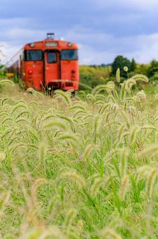 小湊鐵道 小湊鐵道の写真