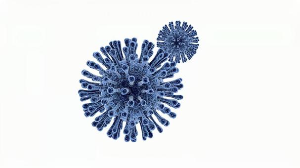 Coronavirus seen under a microscope Coronavirus seen under a microscope