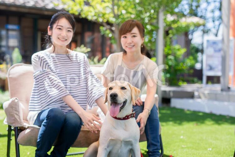 犬の世話をする女性 犬,ペット,愛犬家の写真素材