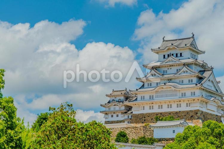 入道雲に映える姫路城天守 歴史,姫路城,白鷺城の写真素材