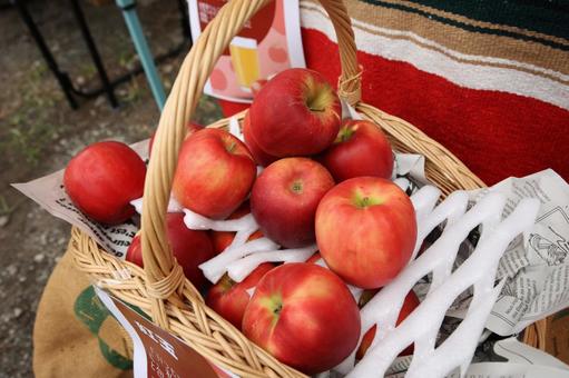 りんごのカゴ売り フードマーケット,りんご,青森の写真素材