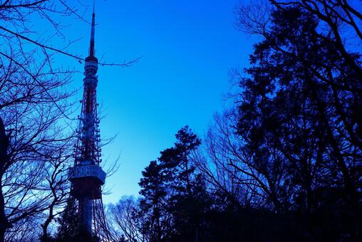 Tokyo Tower, tokyo, tokyo tower, sky, JPG