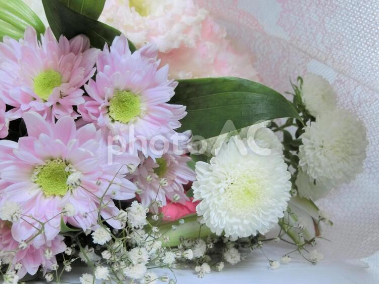 落ち着いた小菊の花束 花束,小菊,菊の写真素材
