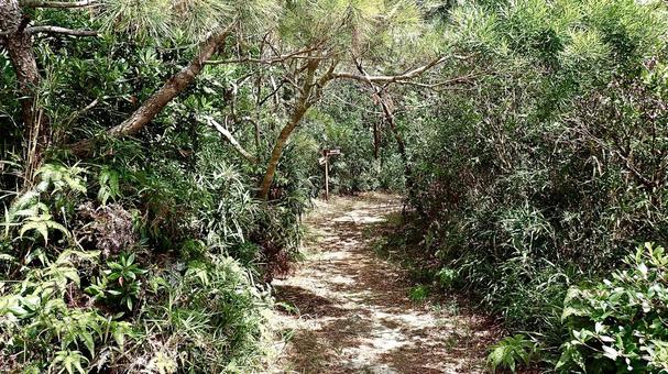 Mihanahara Promenade in the Kerama Islands of Tokashiki Island, Okinawa Prefecture, JPG