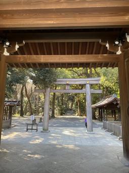 明治神宮 西参道 明治神宮 西参道 明治神宮,西参道,鳥居の写真素材