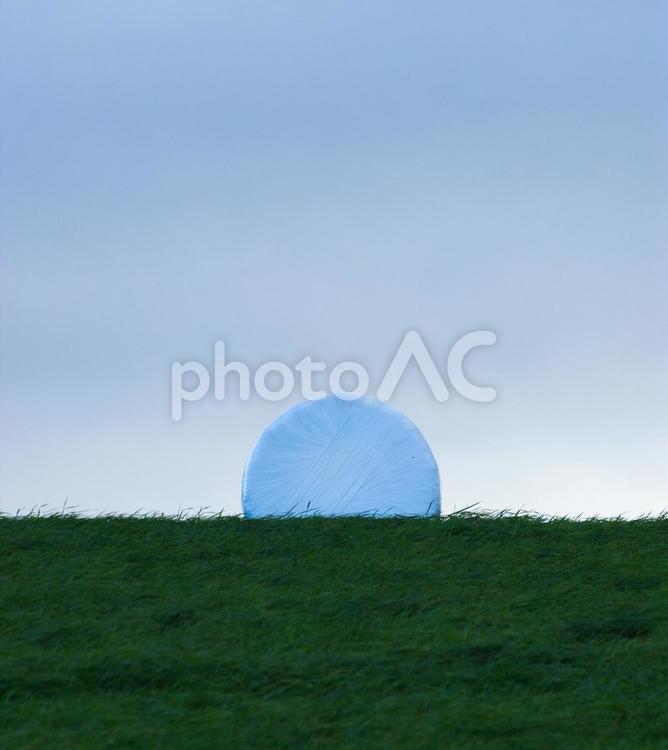 夕暮れの牧草ロール きれい,のどか,ゆとりの写真素材