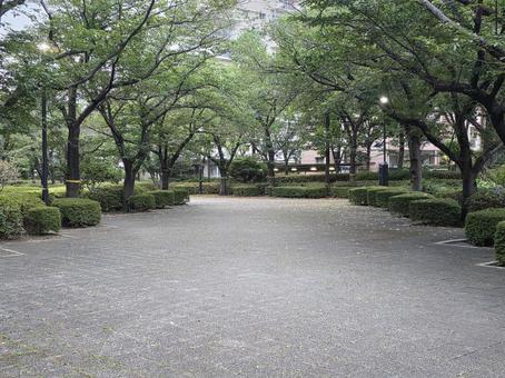 朝の公園 朝の公園 空,自然,景色の写真素材