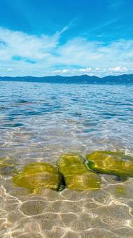 夏の海の写真