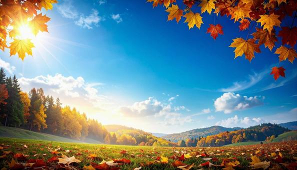 紅葉と青空 紅葉と青空の写真