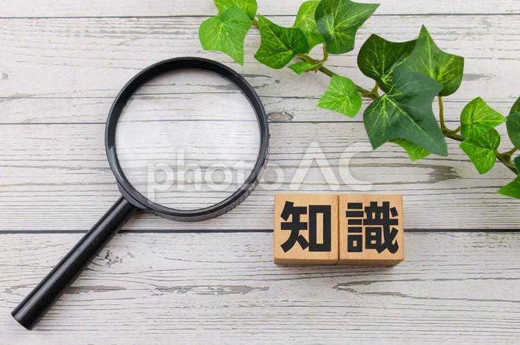 調べたい事を検索するキューブ文字 素材,イメージ,イメージ素材の写真素材