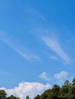 雲間から夏の声が聞こえる 青空,空,ソラの写真素材