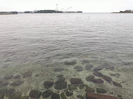 東京湾に浮かぶ八景島シーパラダイス 東京湾に浮かぶ八景島シーパラダイスの写真