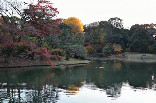 六義園の風景 六義園の風景の写真
