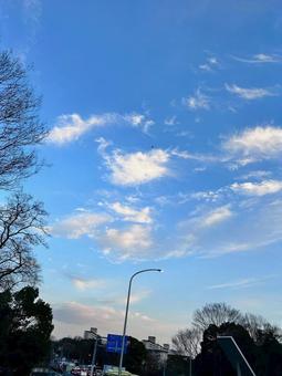 帰り道 帰り道の写真